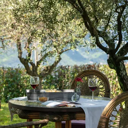 Вилла Elisa Mommio