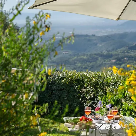 Вилла Elisa Mommio